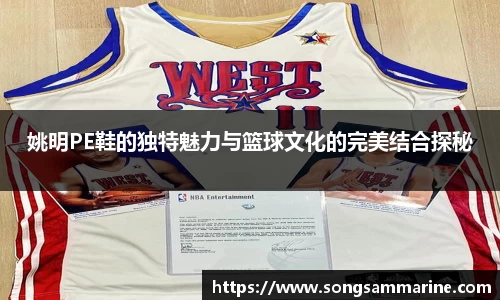 姚明PE鞋的独特魅力与篮球文化的完美结合探秘